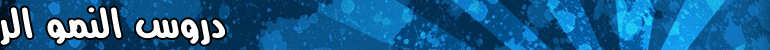 home page title